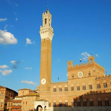 Lovely In With Swimming Pool